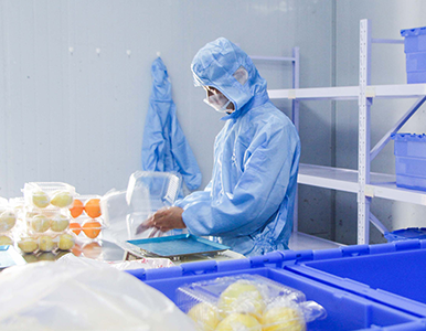 鹤旦（上海）科技分拣加工